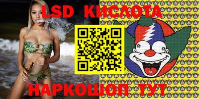 эйфоретик Кандалакша