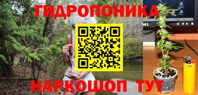 тгк Канаш