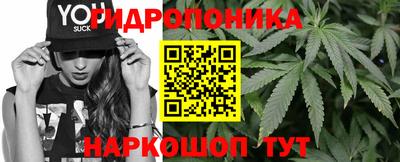 mdpv Камышлов