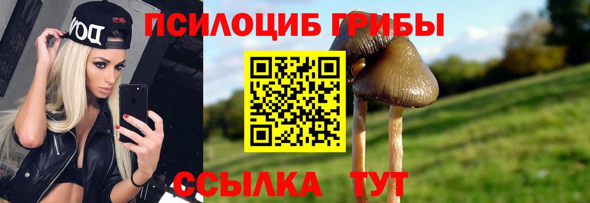 Кропоткин  Галлюциногенные грибы мицелий  Вход с VPN 